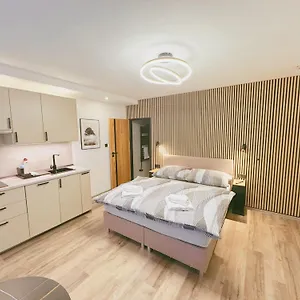 Penzion V Brně, Brno